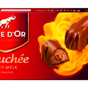 Cote d'Or milk chocolate bouchee filled with praline (25g x 8pc)