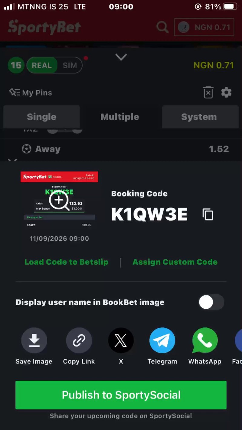 Is SpinBoss really a “newbie‑friendly” casino?